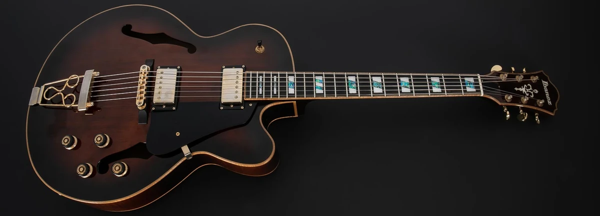 SJ300 | Ibanez Wiki | Fandom