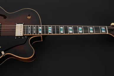 ASV100DG | Ibanez Wiki | Fandom