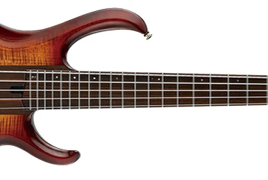 BTB20th5 | Ibanez Wiki | Fandom