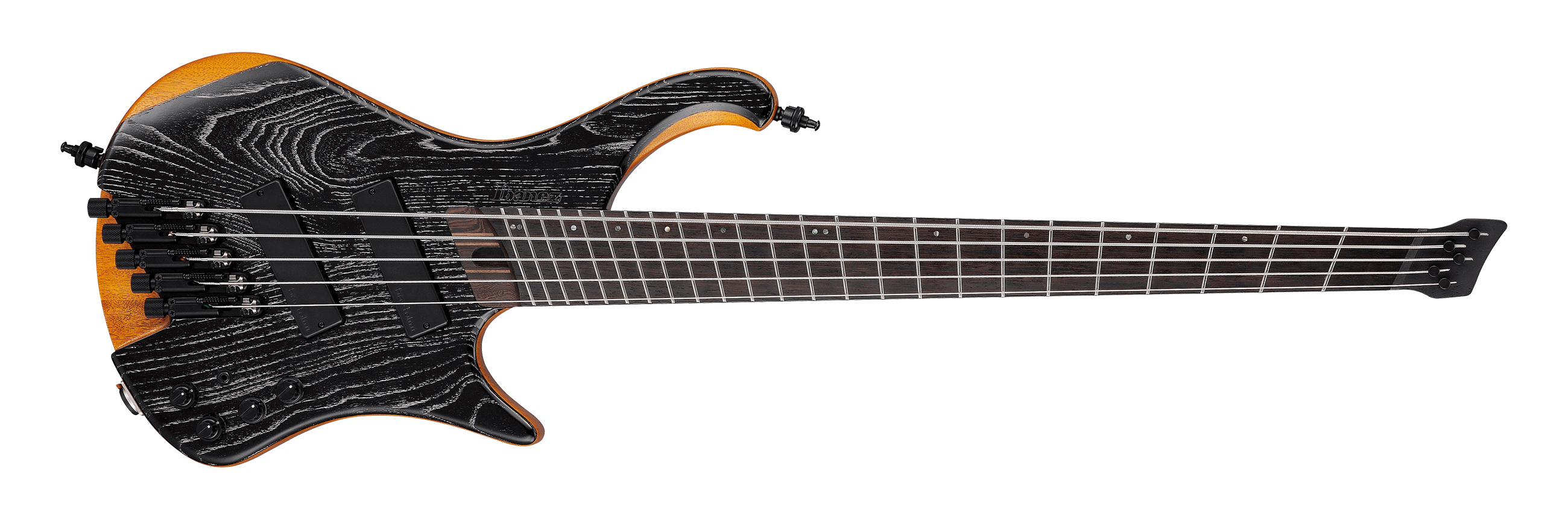 EHB1135MS | Ibanez Wiki | Fandom