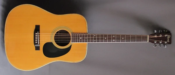 801 | Ibanez Wiki | Fandom