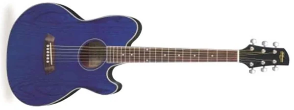 TCY18 | Ibanez Wiki | Fandom