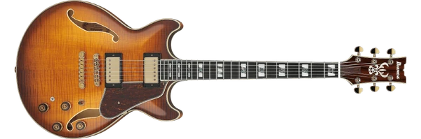 AM153FM | Ibanez Wiki | Fandom