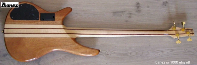 SR1000EBG (2006) rear