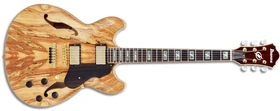 Portal:Artcore Custom series | Ibanez Wiki | Fandom