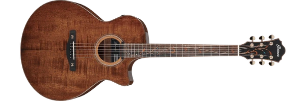 Ibanez　エレアコ AEG9E TRS　■ジャンク 2026年最新】Yahoo!オークション -)ibanez(アコースティックギター)の