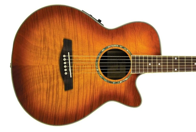 AEG24Ⅱ | Ibanez Wiki | Fandom AEG24Ⅱ | Ibanez Wiki | Fandom