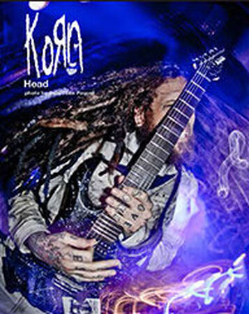 Brian welch guitar 2025