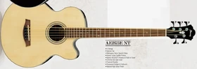 2008 AEB75E NT