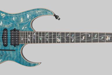 JCRG17C01 | Ibanez Wiki | Fandom