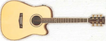 AW1000CE | Ibanez Wiki | Fandom