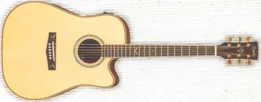 AW1000CE | Ibanez Wiki | Fandom