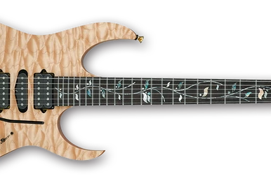 RG8270F | Ibanez Wiki | Fandom