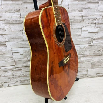 PF300BG | Ibanez Wiki | Fandom