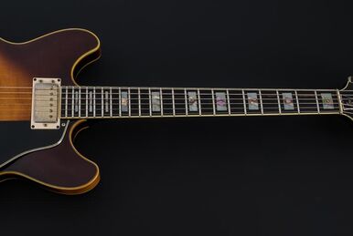 RGT6EX2 | Ibanez Wiki | Fandom