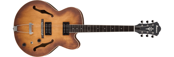 Ibanez af 55 deals