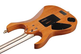 RG8560KE | Ibanez Wiki | Fandom