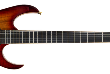 【公式】フジのお歳暮・冬ギフト RG721MFMA | Ibanez Wiki | Fandom ギター