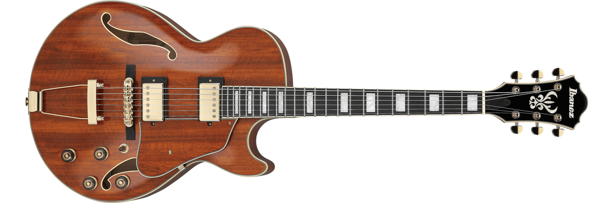 AG95K | Ibanez Wiki | Fandom