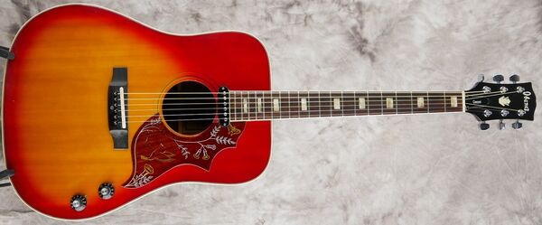 684E | Ibanez Wiki | Fandom