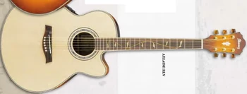 AEL42SE | Ibanez Wiki | Fandom