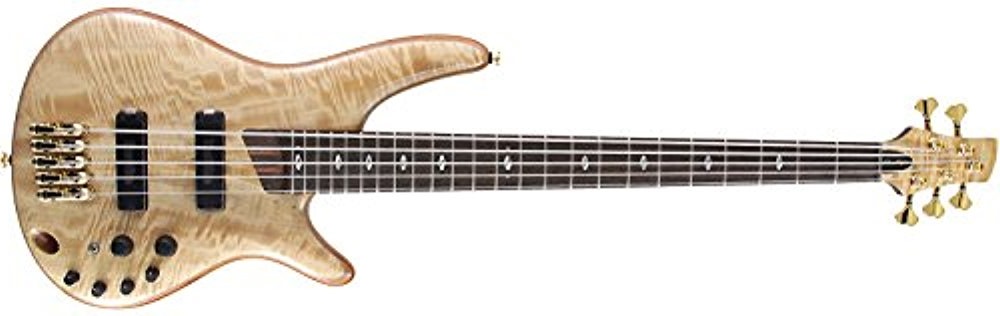 SR5JCTLTD | Ibanez Wiki | Fandom