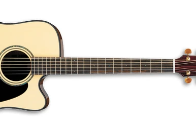 AW250 | Ibanez Wiki | Fandom