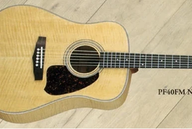 PF40 | Ibanez Wiki | Fandom