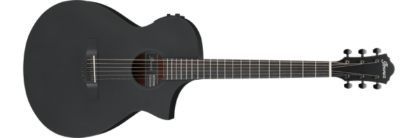 ◆大感謝祭!! Ibanez AEW22CD-NT1202 G1T22387 IBANEZ AEW22CD for sale - Price and Used Value