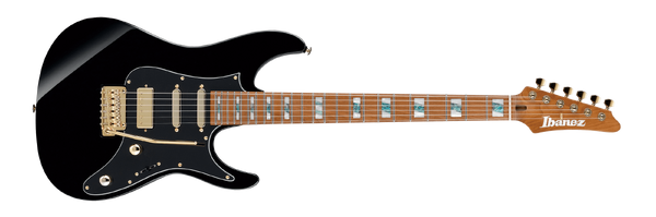 Premium series, Ibanez Wiki