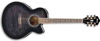 AEL20E | Ibanez Wiki | Fandom