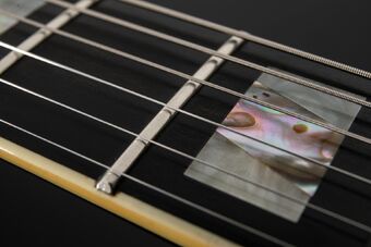 AM255 | Ibanez Wiki | Fandom