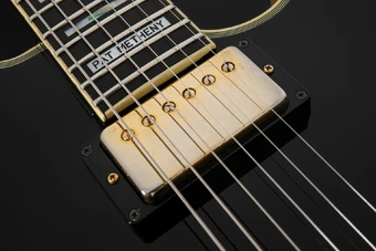 PM100 | Ibanez Wiki | Fandom