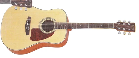 PF300 (1998) | Ibanez Wiki | Fandom