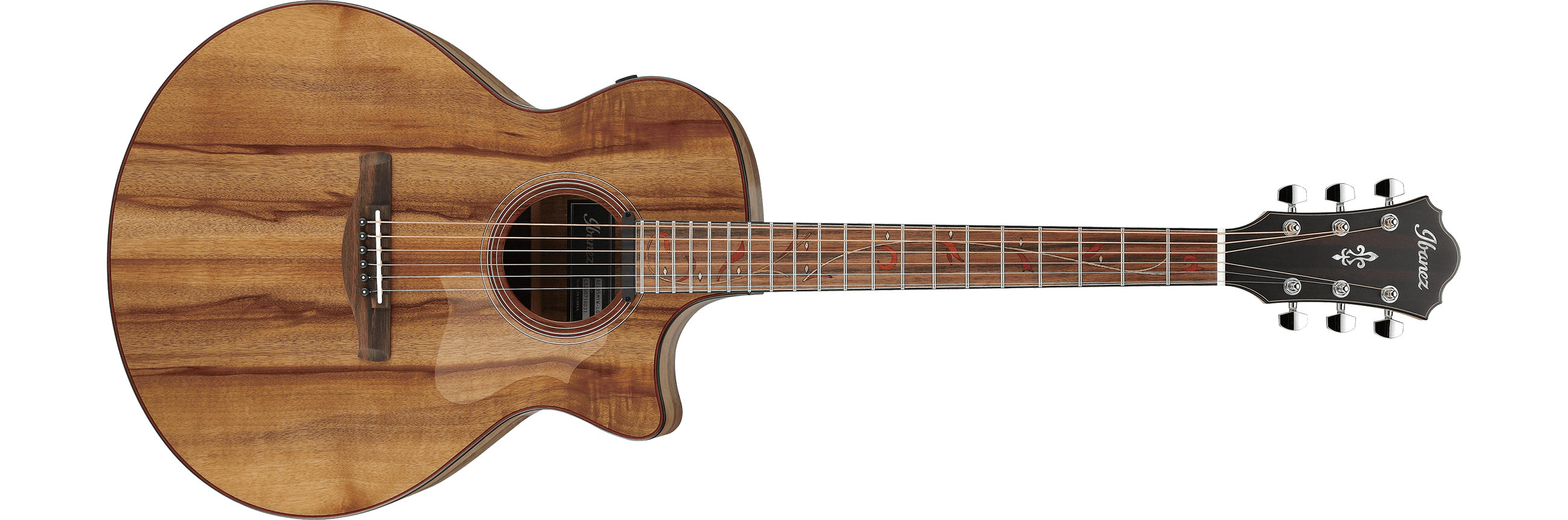 AE295MYW | Ibanez Wiki | Fandom