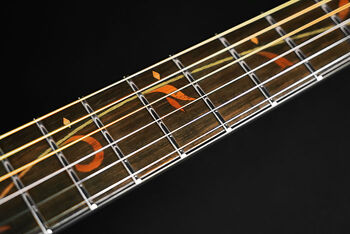 Ibanez ae325 online