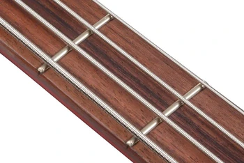 MDB5 fret