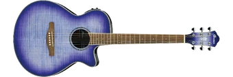 AEG19Ⅱ | Ibanez Wiki | Fandom