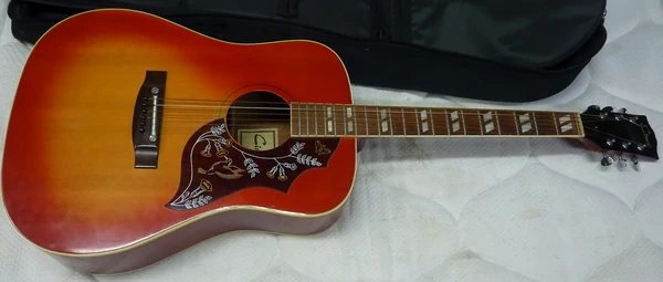 Greco W-303 HummingBirdモデル 370 (Hummingbird) | Ibanez Wiki | Fandom
