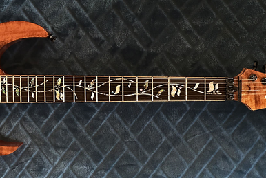 SRG420FMZ | Ibanez Wiki | Fandom