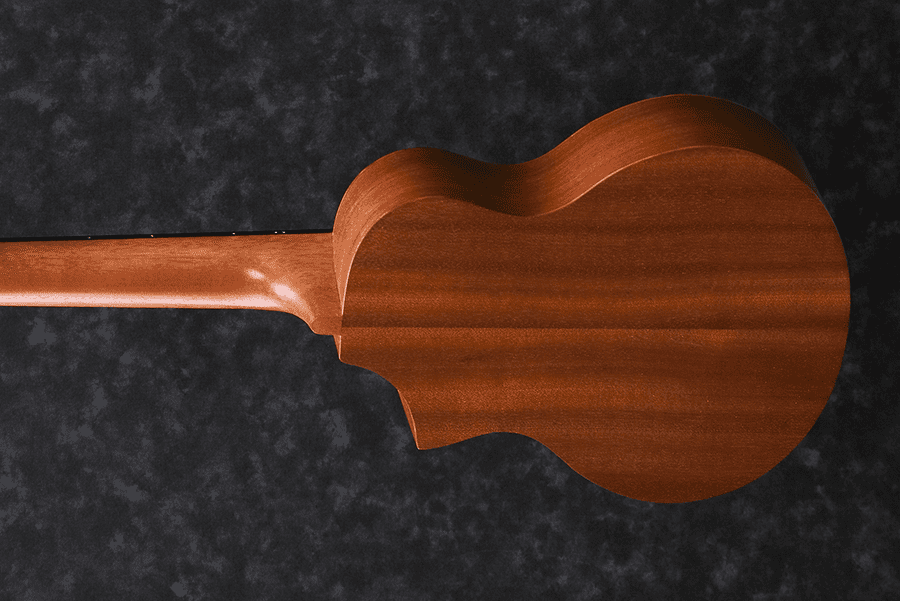 Ukelele ibanez uew5 opn 2025