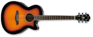 Vintage Sunburst Model