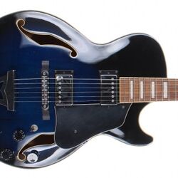 アート・デザイン・音楽 Walter Nikkels depicted afgebeeld abgebi Category:Artcore models | Ibanez Wiki | Fandom