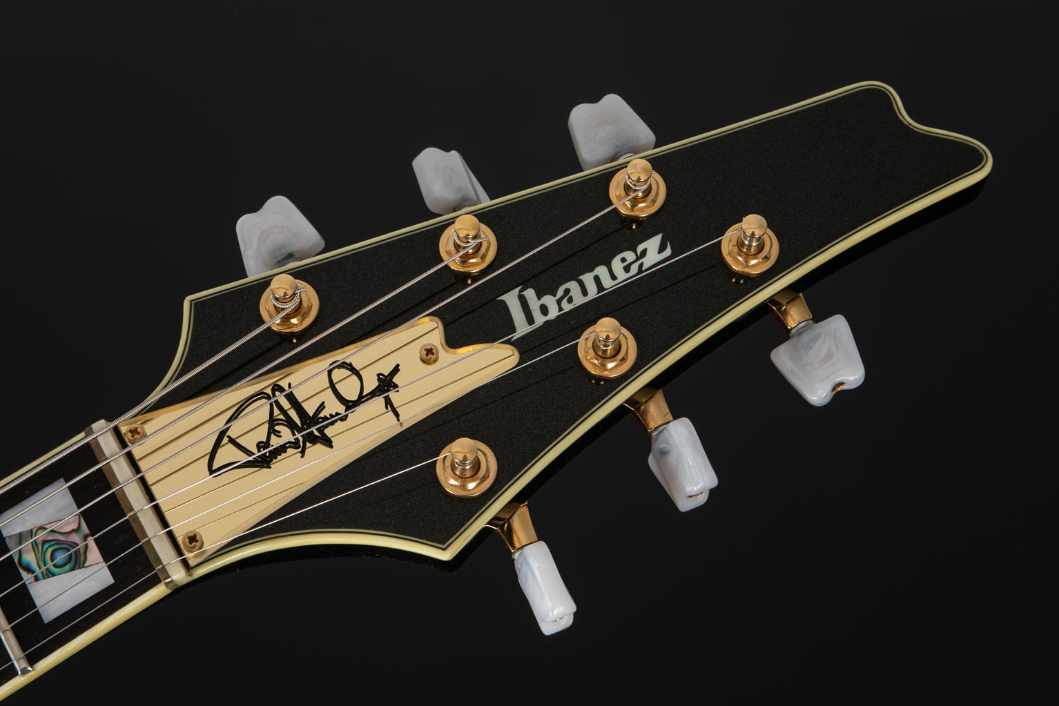 PS10LTD | Ibanez Wiki | Fandom PS10LTD | Ibanez Wiki | Fandom