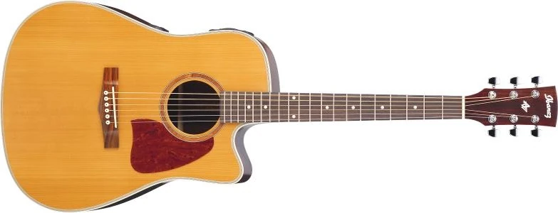 AW15CE | Ibanez Wiki | Fandom