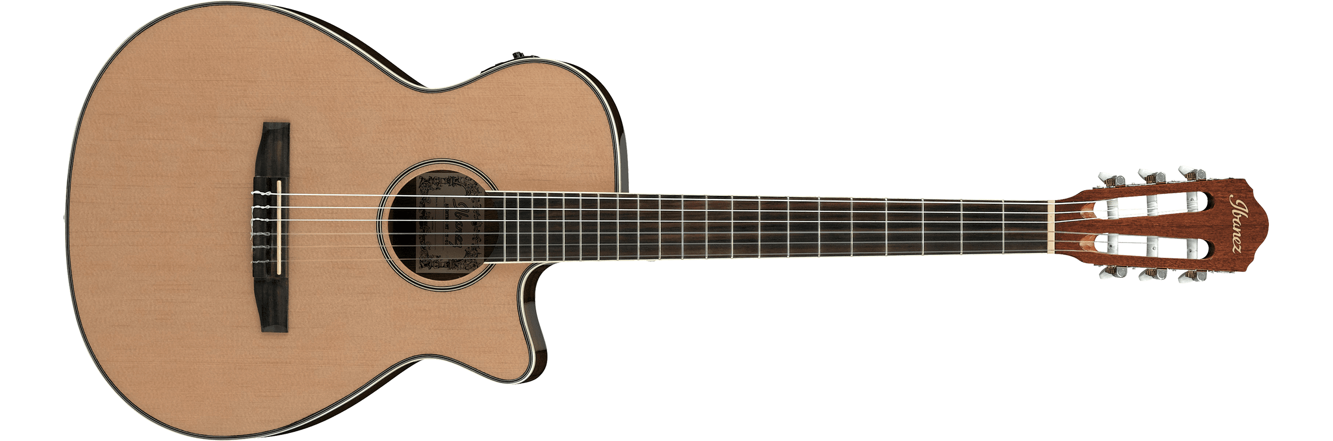 AEG8TNE Ibanez Wiki Fandom