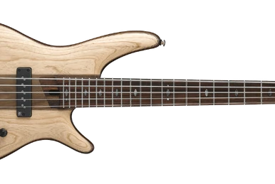 SR1100E | Ibanez Wiki | Fandom