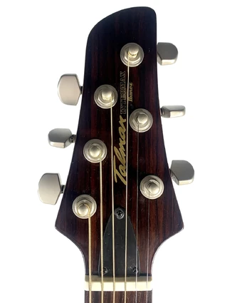 TMX20 | Ibanez Wiki | Fandom