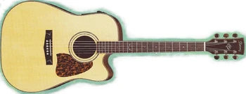 AW500CE | Ibanez Wiki | Fandom