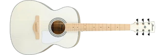 AC419E | Ibanez Wiki | Fandom